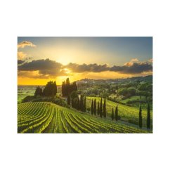 Puzzle Vinice Maremma 500 xl dílků