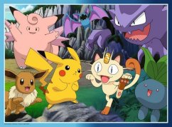 Svět Pokémonů 300 dílků
