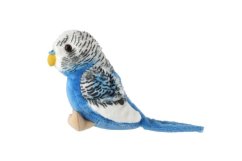 Andulka vlnkovaná plyš 13cm modrá