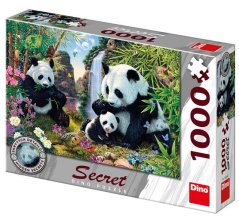Pandy 1000D secret