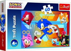 Puzzle Sonic v akci/Sonic The Hedgehog