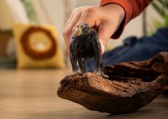 Schleich 14883 Šimpanz