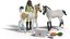Schleich 42777  Lékárnička Sarah