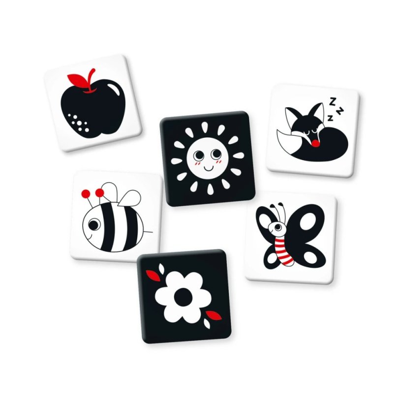 Dino První hraní: Kontrastní karty