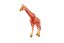 Žirafa síťovaná zooted plast 17cm