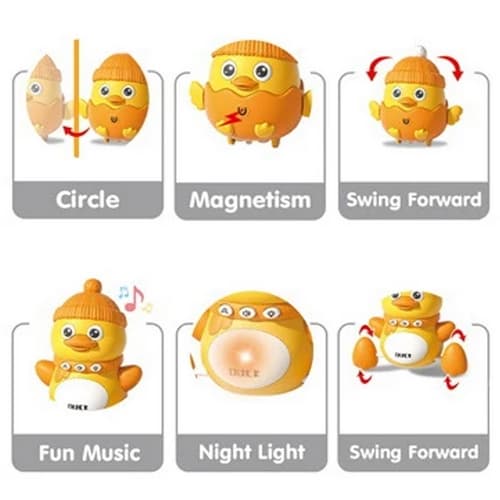 Chodící kačenka s mláďaty