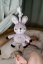 Hrající Zajíček babyted 30 cm