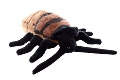Šváb Madagaskarský / syčící / plyš 20cm