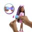 BARBIE DREAM BESTIES PANENKA S DOPLŇKY - BROOKLYN