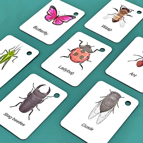 Sada na chytání hmyzu