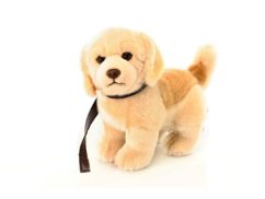 Plyš štěně retrívr