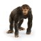 Schleich 14883 Šimpanz