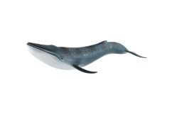 Plejtvák obrovský zooted plast 27cm