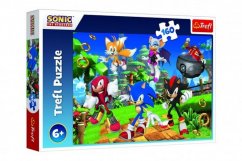 Puzzle Sonic a přátelé/Sonic The Hedgehog