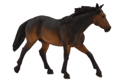 Mojo Quarter horse hnědák