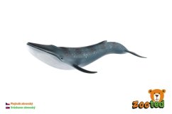 Plejtvák obrovský zooted plast 27cm