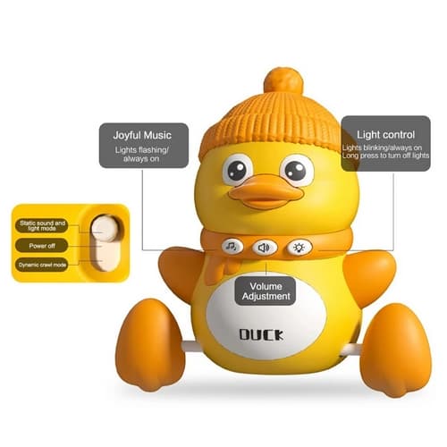 Chodící kačenka s mláďaty