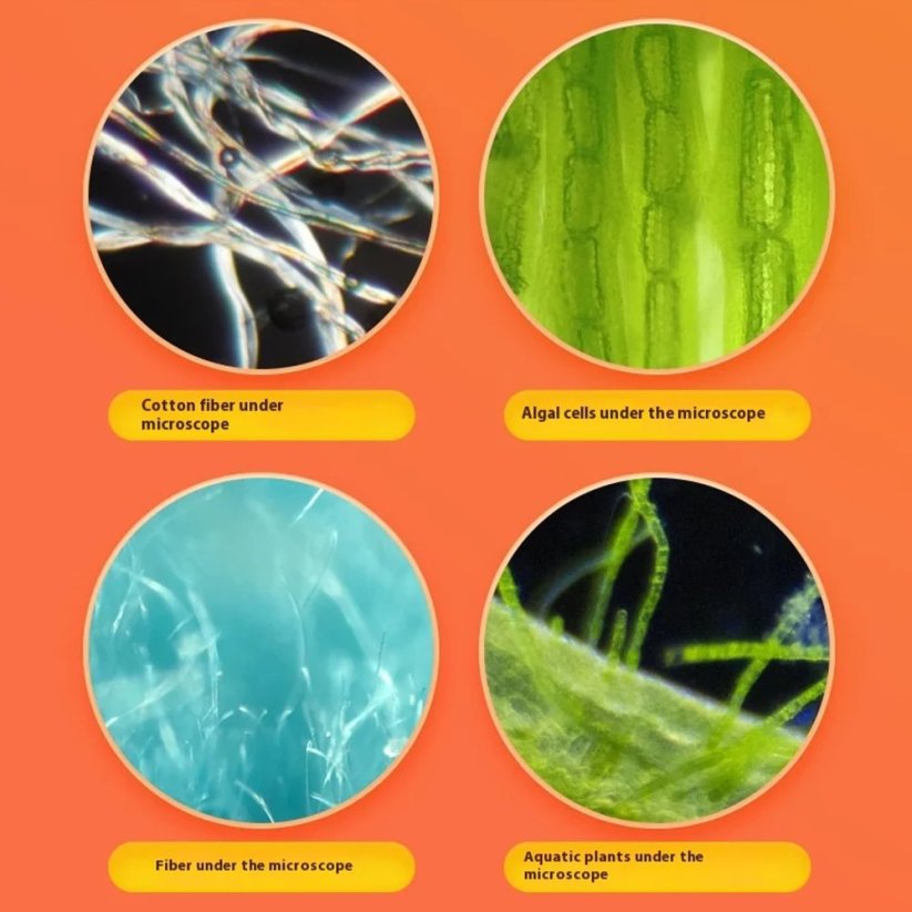 Dětský přenosný mikroskop